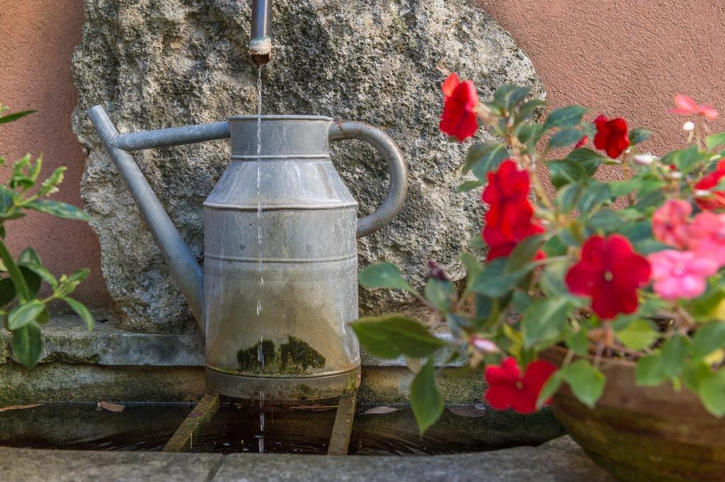 Mas De Foncaudette Bed & Breakfast Lourmarin Exterior photo